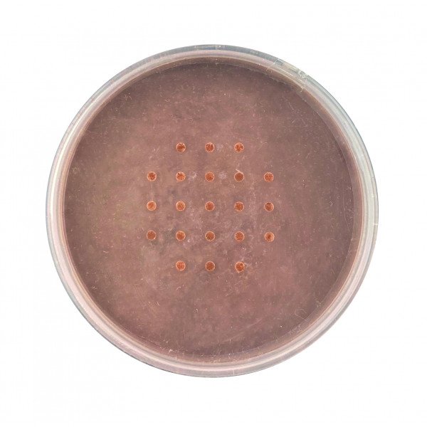 Base de Maquillaje en Polvo Mineral Powder Foundation - Technic Cosmetics : Honey - 2