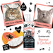 Champú y Acondicionador 2 en 1 para Gatos - Papaya y Coco - Bugalugs - 3