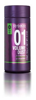 Volume Dust Matifying Powder 10 gr - Salerm - 1