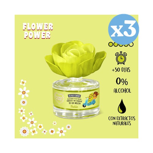 Pack 3x: Ambientador en Flor - Melón - The Fruit Company - 2