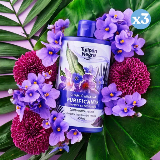 Pack 3x: Champú Micelar Purificante 400ml - Tulipan Negro - 2
