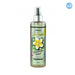 Body & Hair Shimmer Mist 250ml - Prady - 1