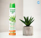 Pack 6x - SPRAY DEO ALOE Y JOJOBA 200 ml. - Tulipan Negro - 3