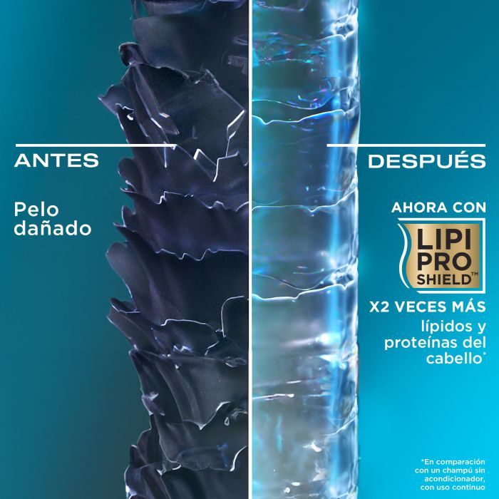 Champú Renovador Aceite de Argán de Marruecos - Ogx - 3