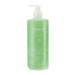 Gel Post Depilatorio Aloe Vera 500ml - Pollié - 1
